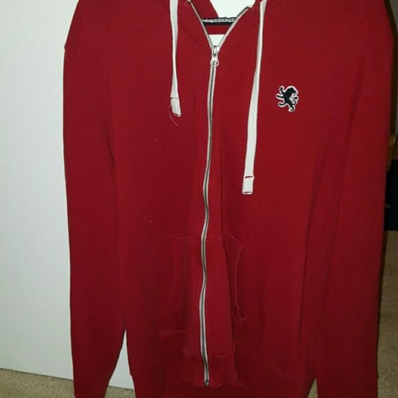 Express Hoodie sweater - Picture 3 of 7